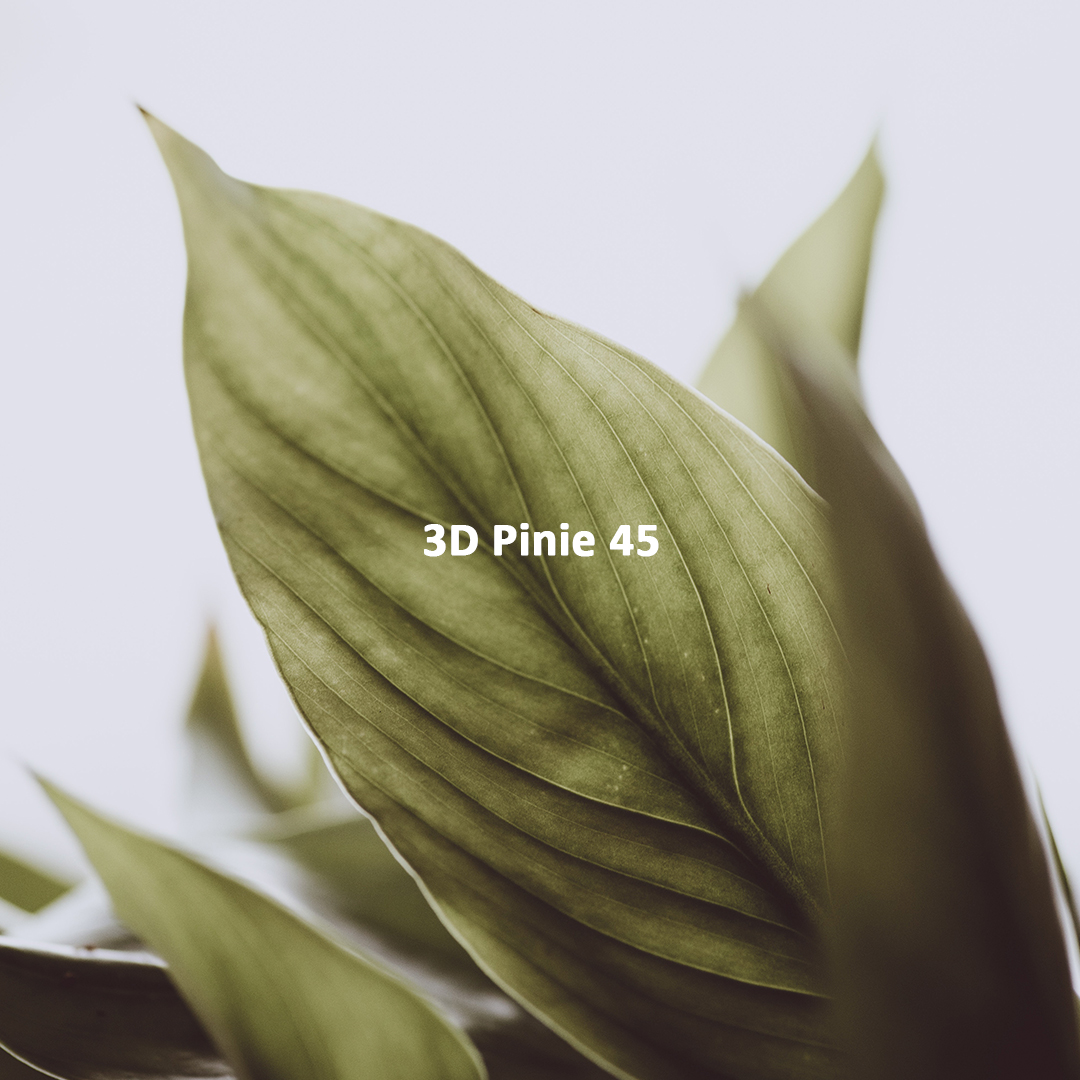 23-yil aprel: Yashillikning Birinchi Novdalari