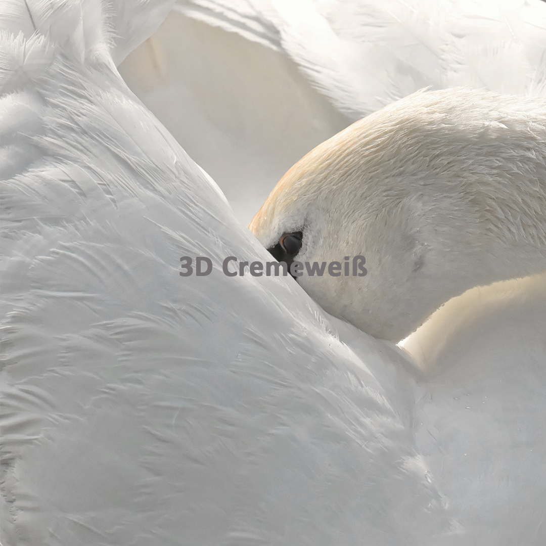 Dekabr'22: hammasi oq rangdan boshlanadi...